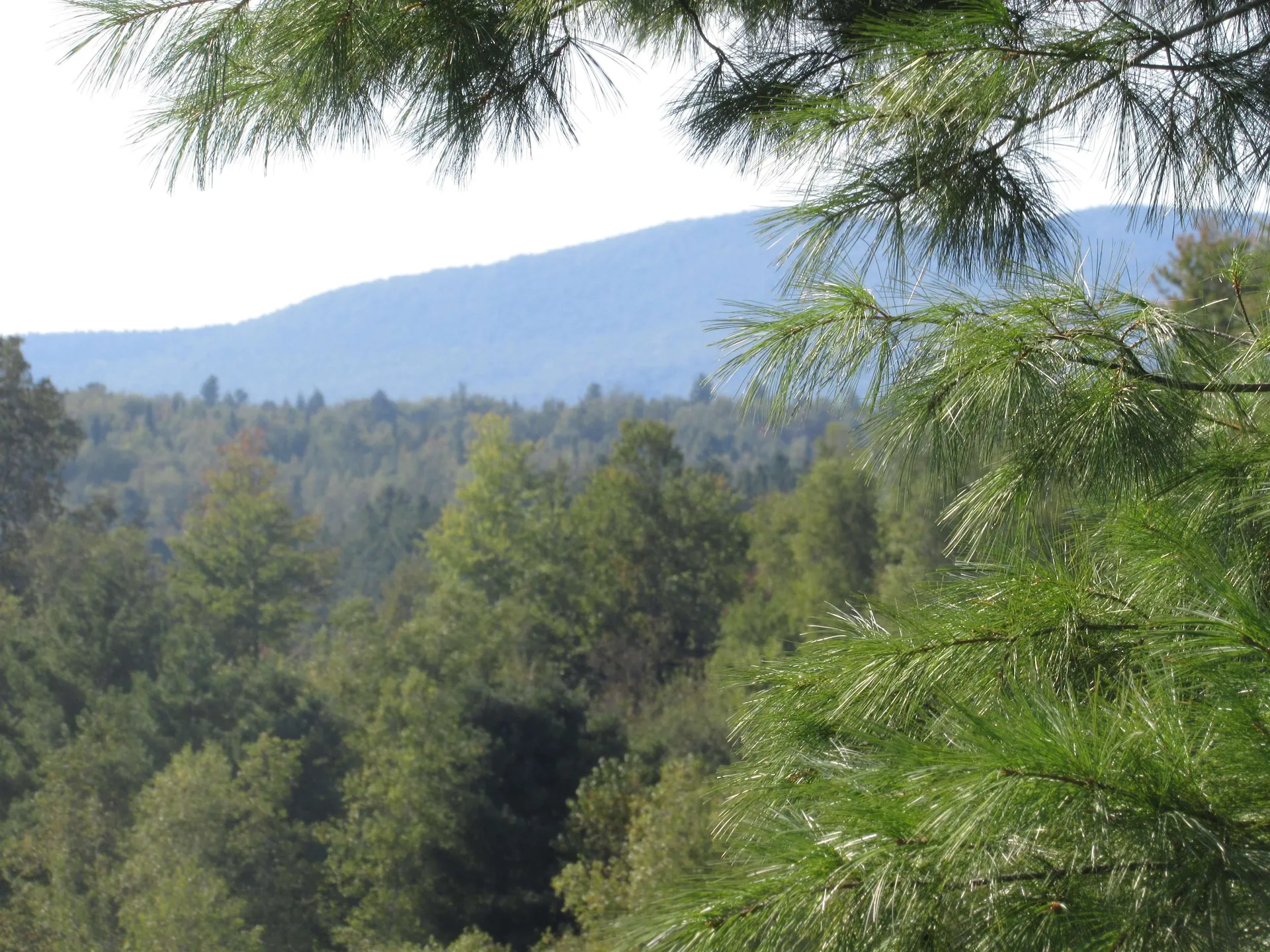 0 River Road Troy VT 05868