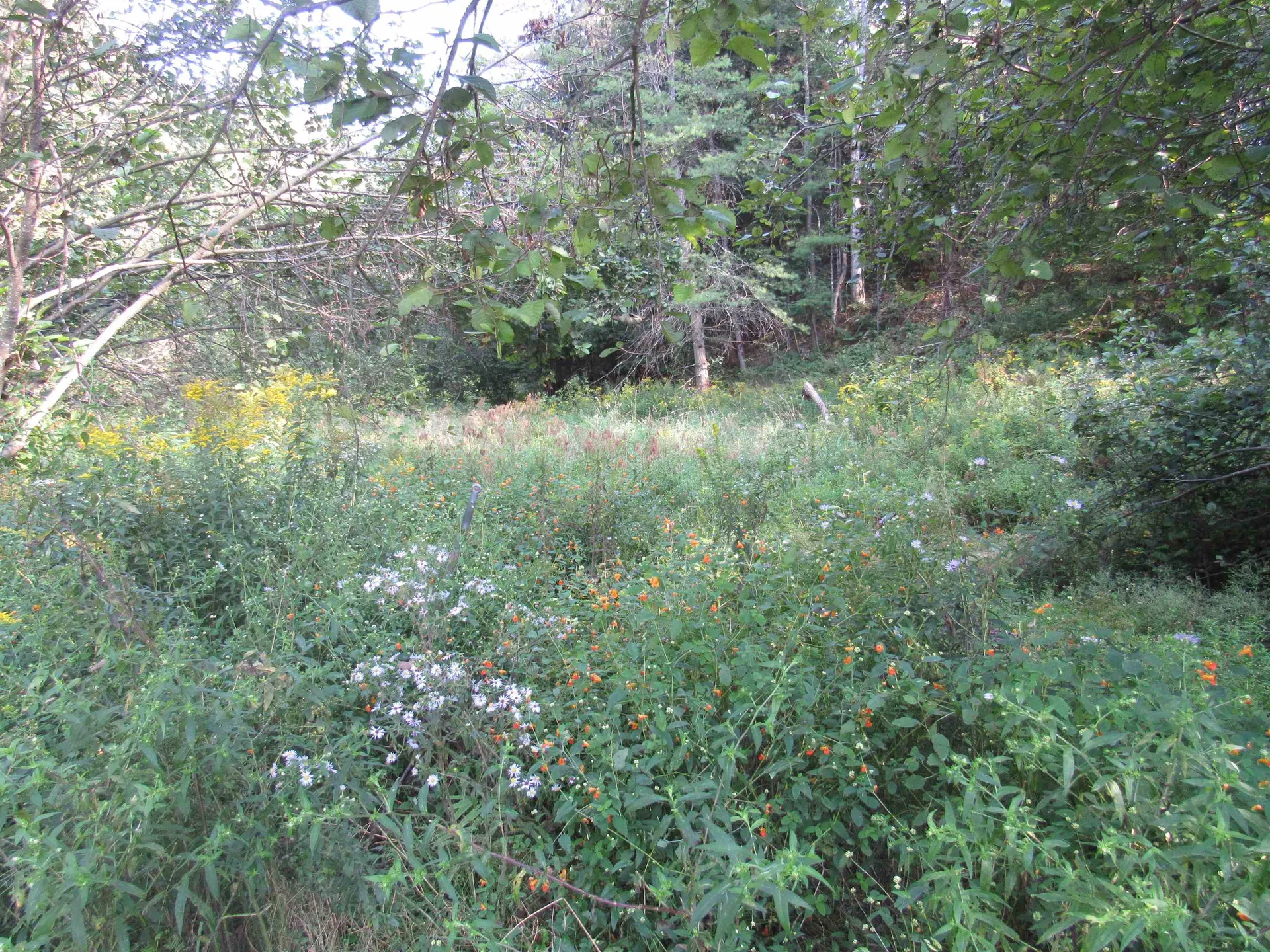 0 River Road Troy VT 05868