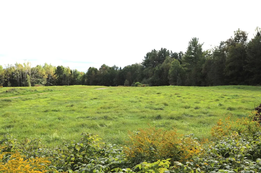 0 Hayward Hollow Morgan VT 05853