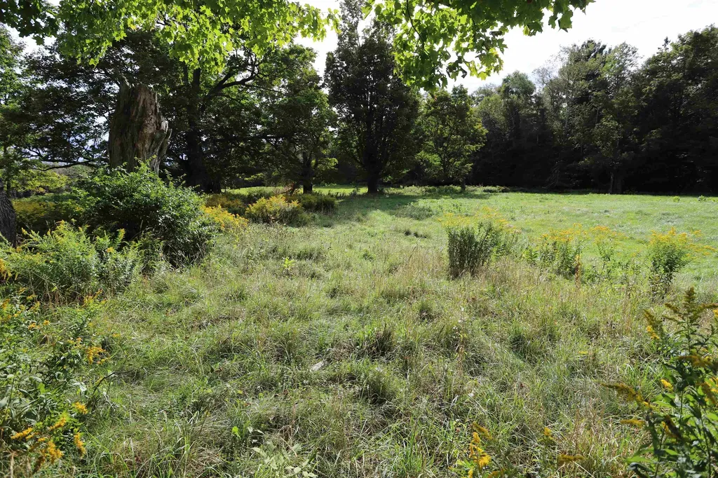 0 Hayward Hollow Morgan VT 05853