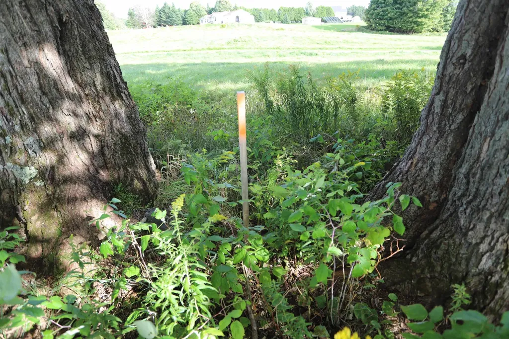 0 Hayward Hollow Morgan VT 05853