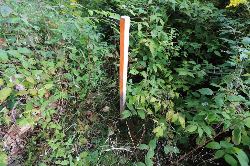 0 Hayward Hollow Morgan VT 05853