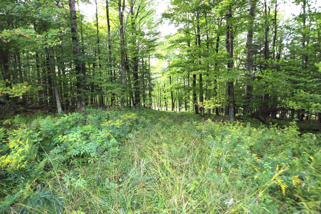 0 Hayward Hollow Morgan VT 05853