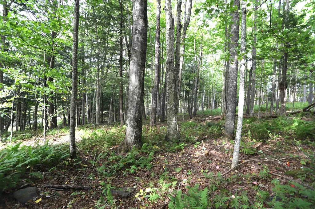 0 Hayward Hollow Morgan VT 05853