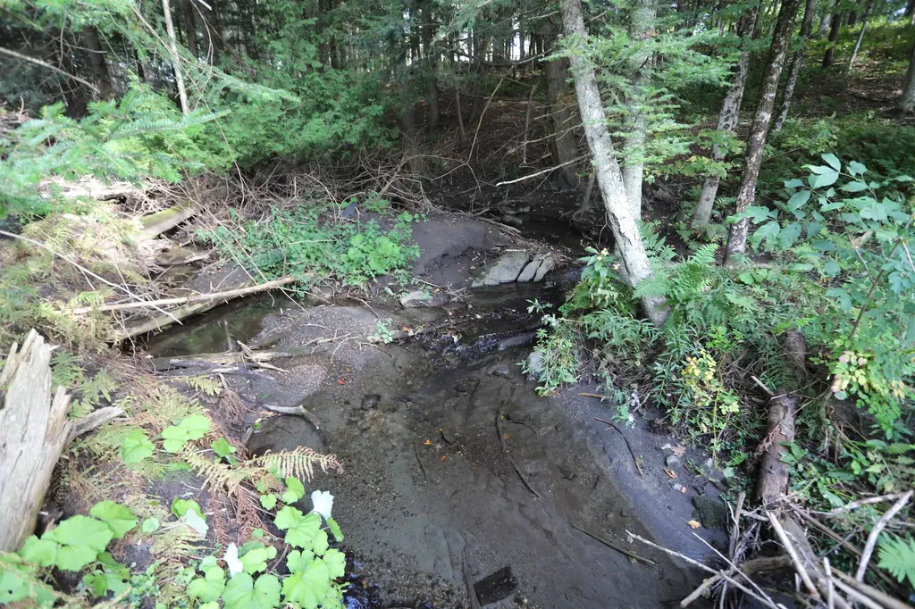 0 Hayward Hollow Morgan VT 05853