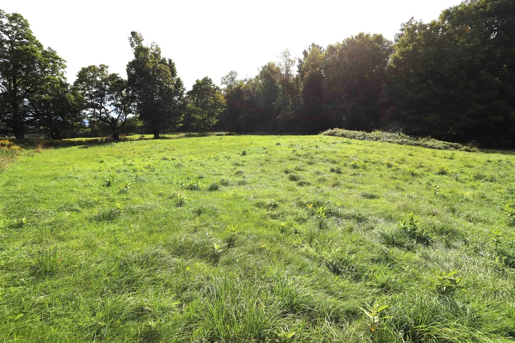 0 Hayward Hollow Morgan VT 05853