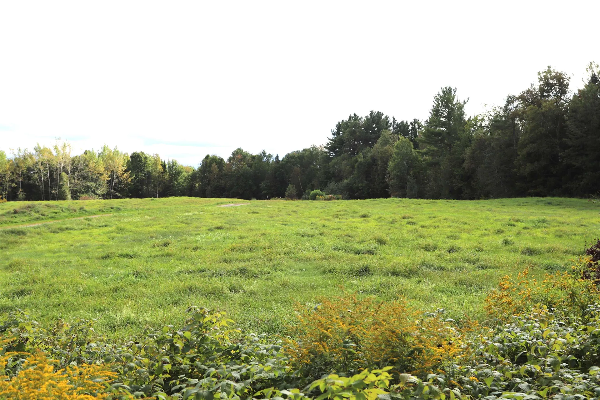 0 Hayward Hollow Morgan VT 05853