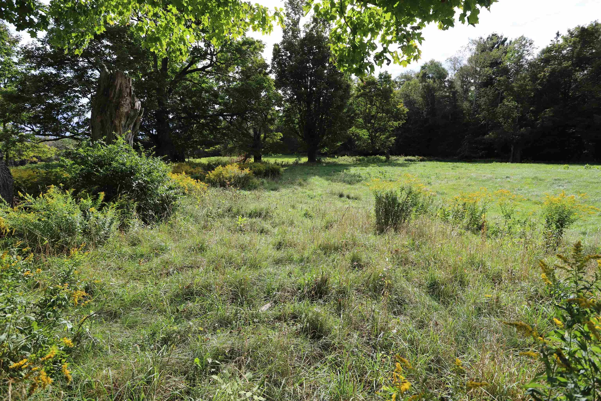 0 Hayward Hollow Morgan VT 05853