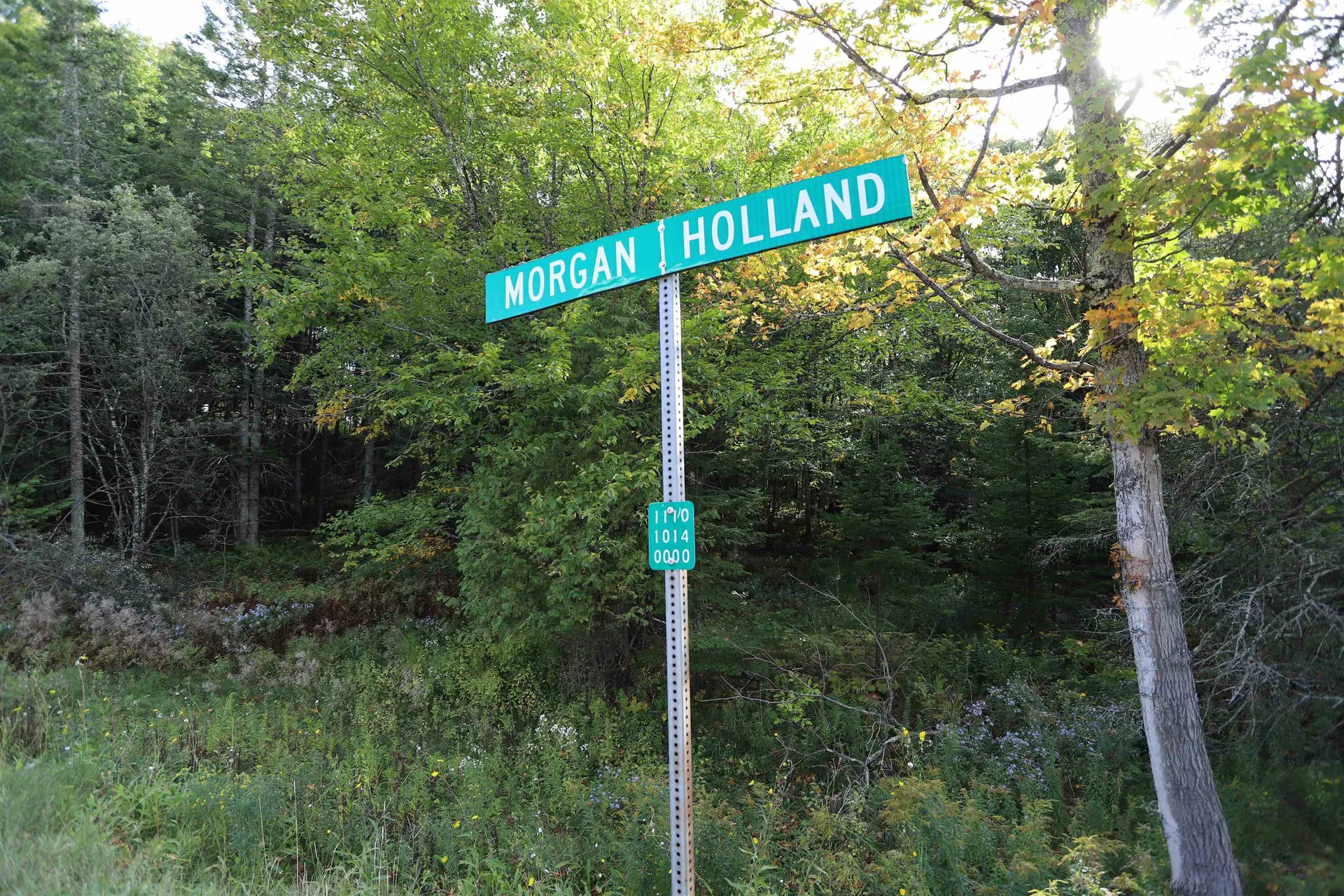 0 Hayward Hollow Morgan VT 05853
