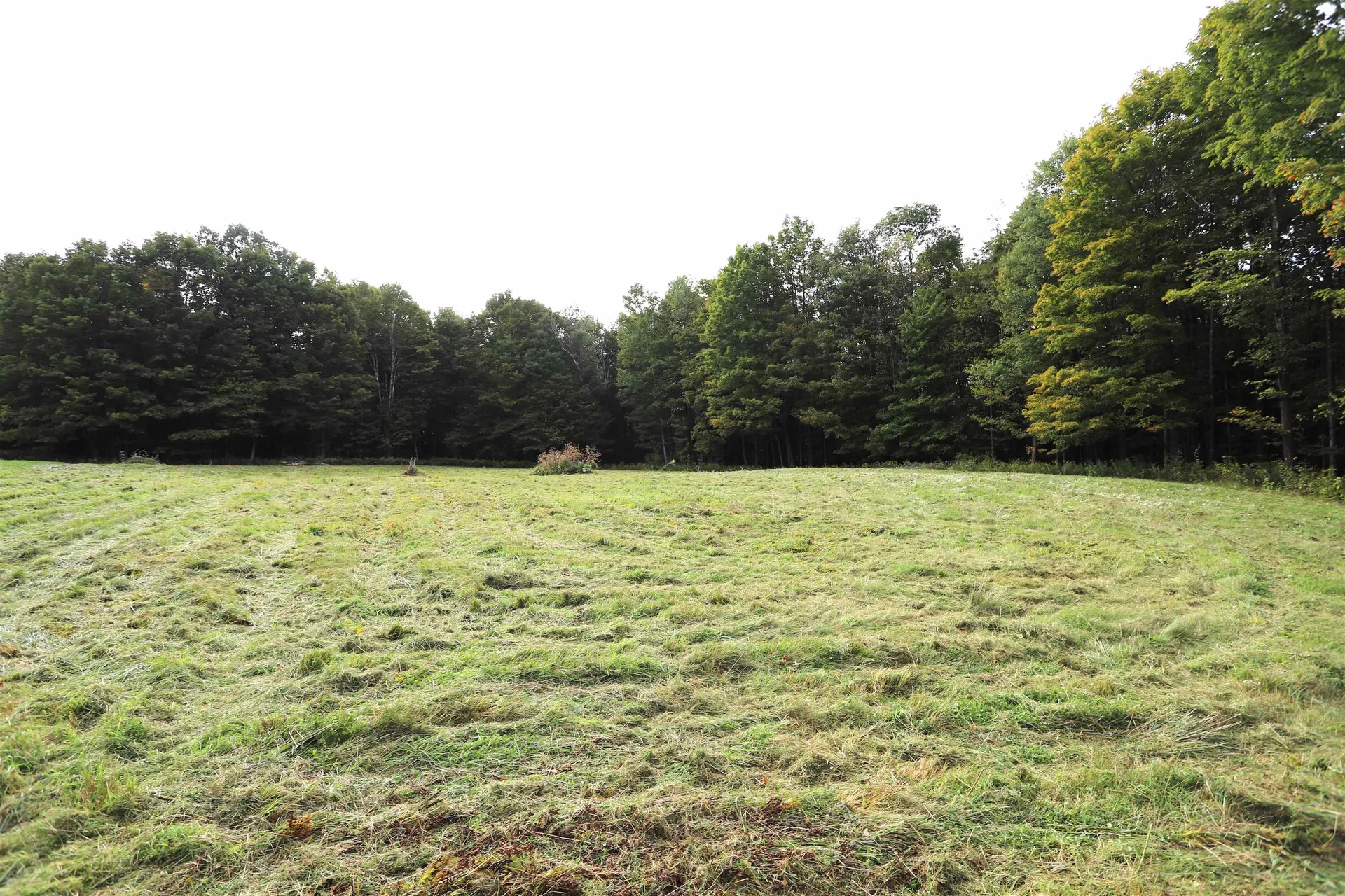 0 Hayward Hollow Morgan VT 05853