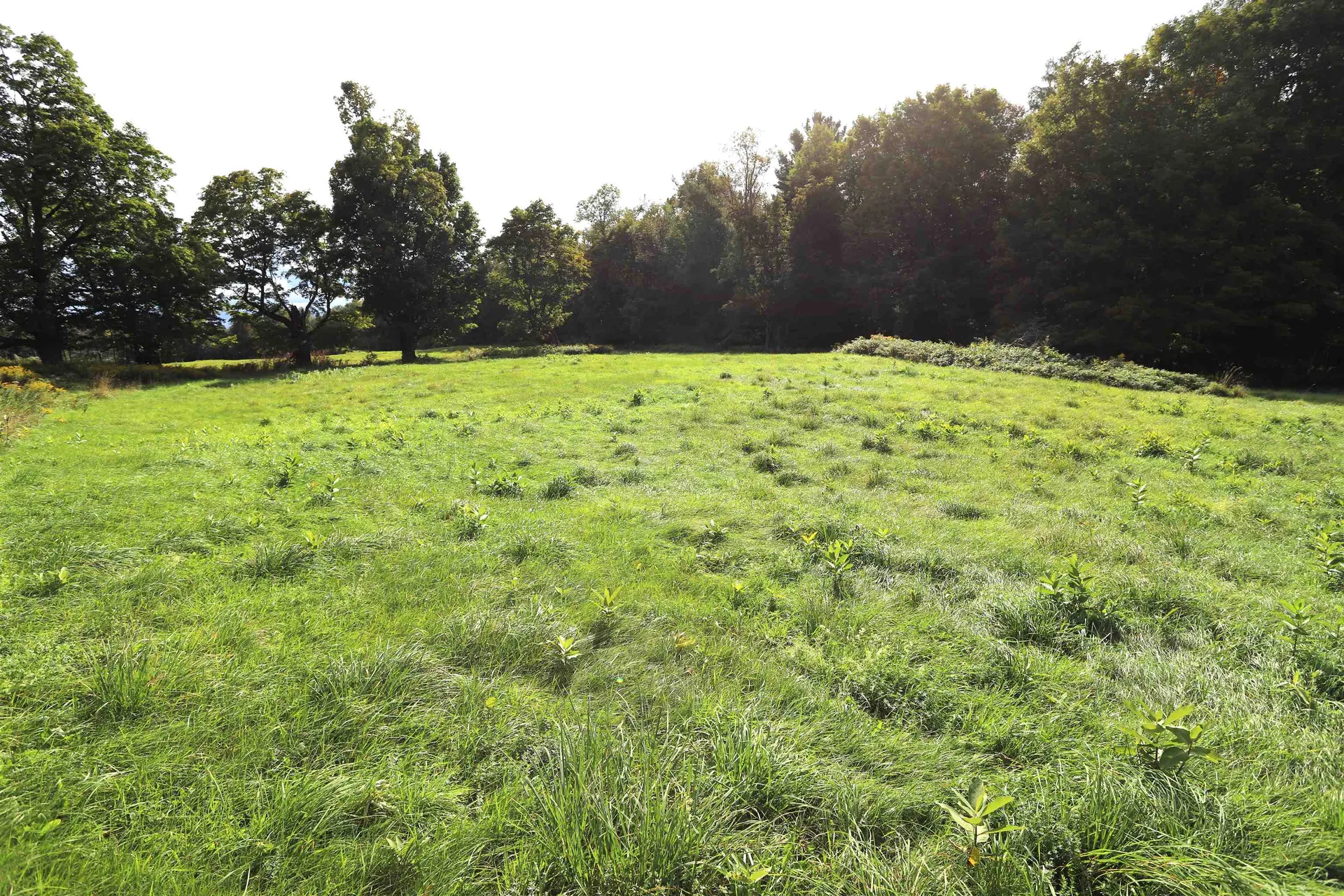 0 Hayward Hollow Morgan VT 05853