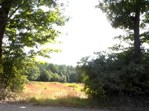 Clement Hill Road Hopkinton NH 03229