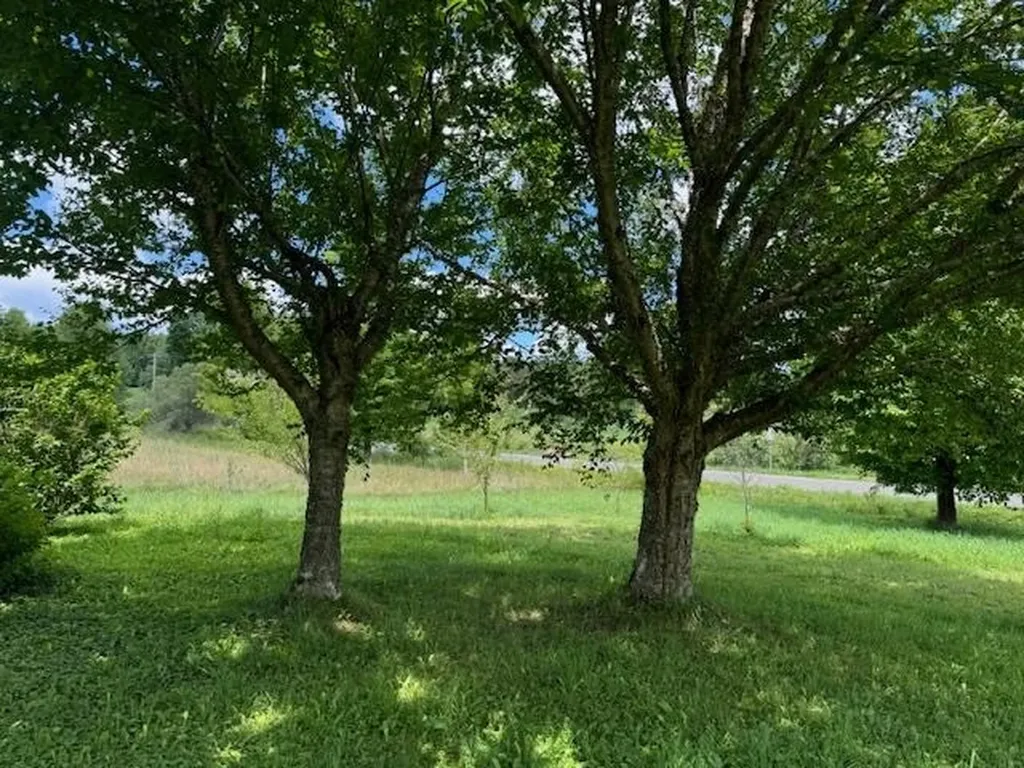 28 Edsall Road Greensboro VT 05841
