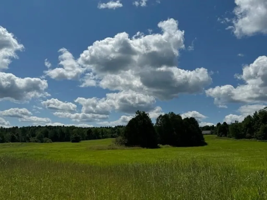 28 Edsall Road Greensboro VT 05841