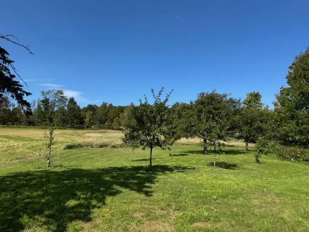 28 Edsall Road Greensboro VT 05841