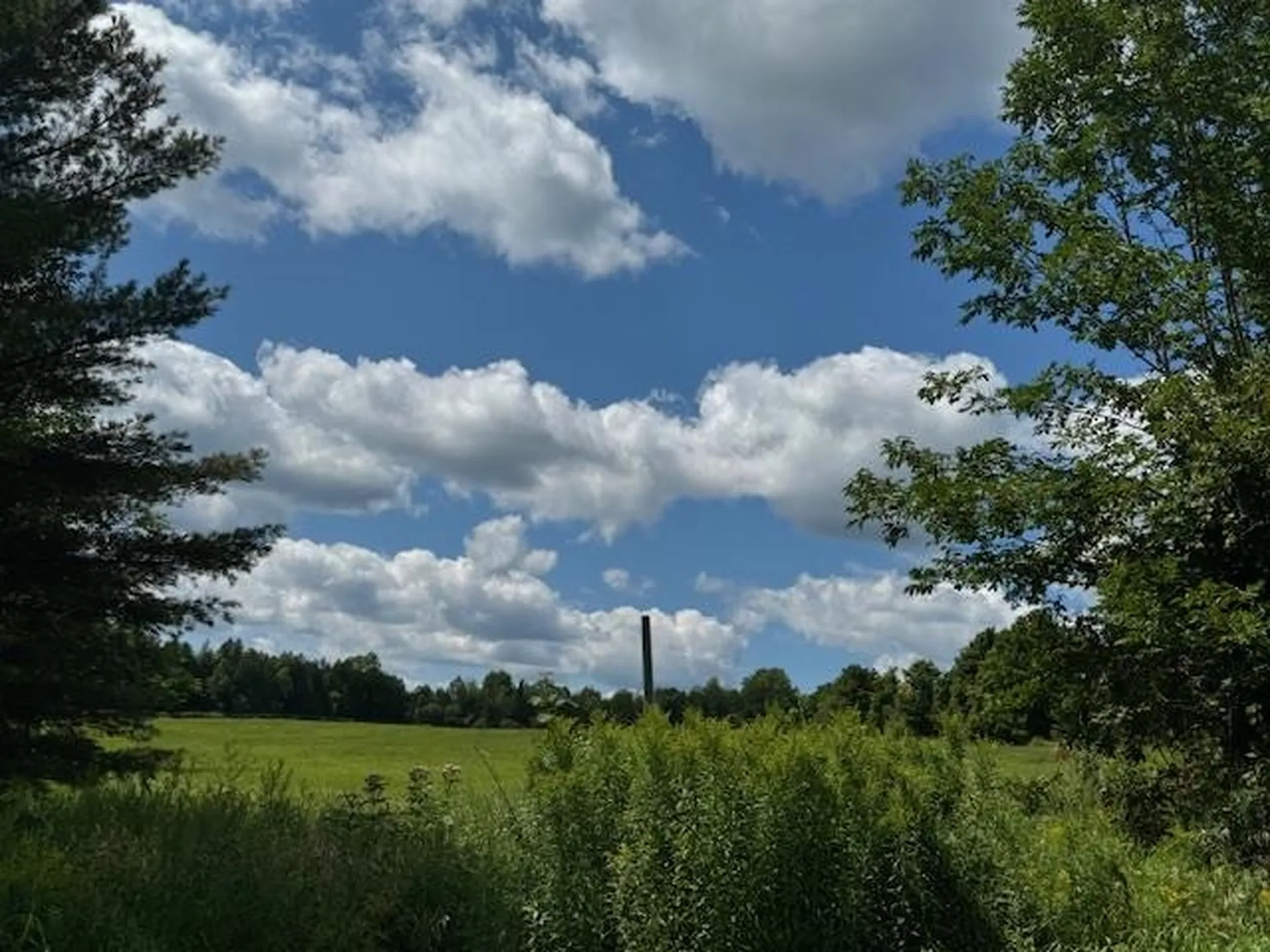 28 Edsall Road Greensboro VT 05841