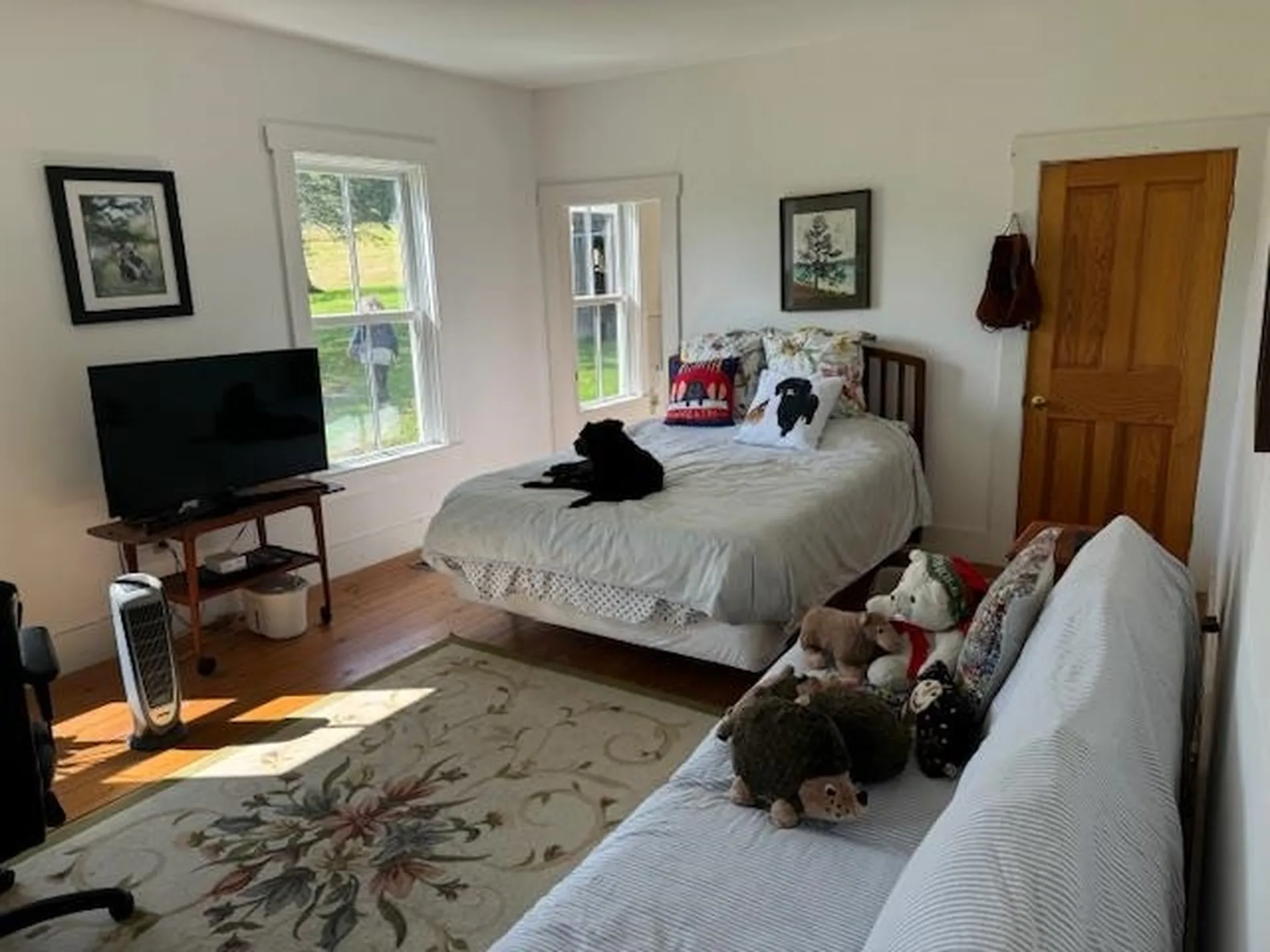 28 Edsall Road Greensboro VT 05841