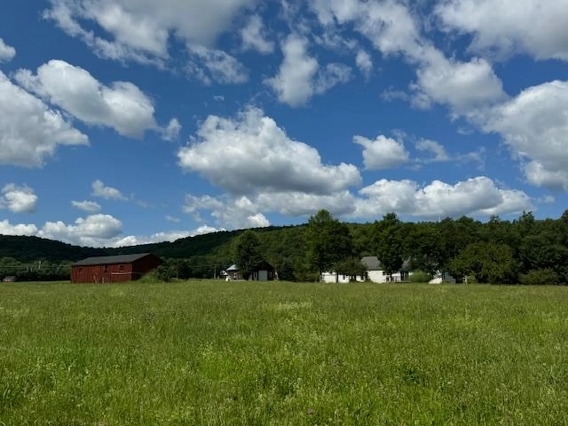 28 Edsall Road Greensboro VT 05841