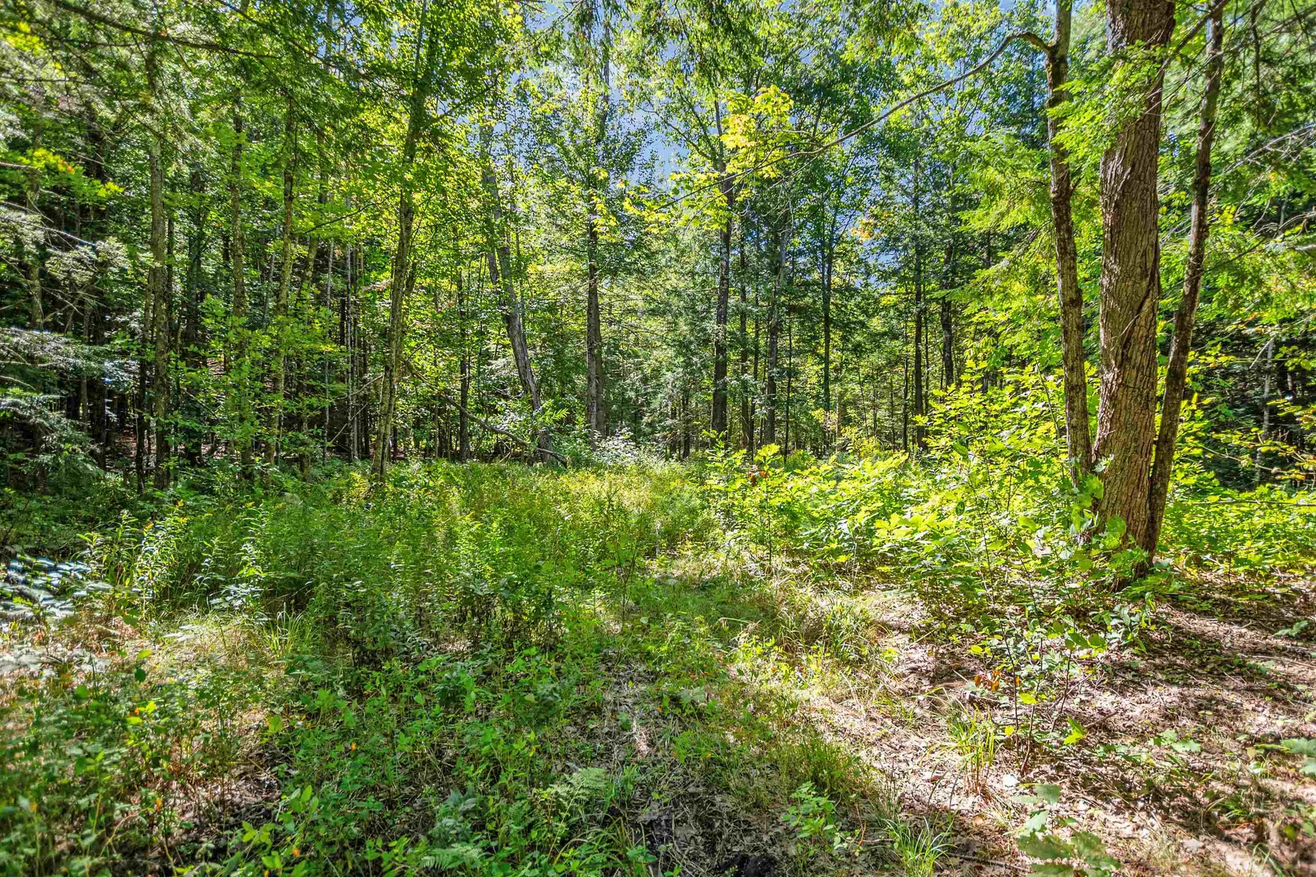 Route 103a Newbury NH 03255