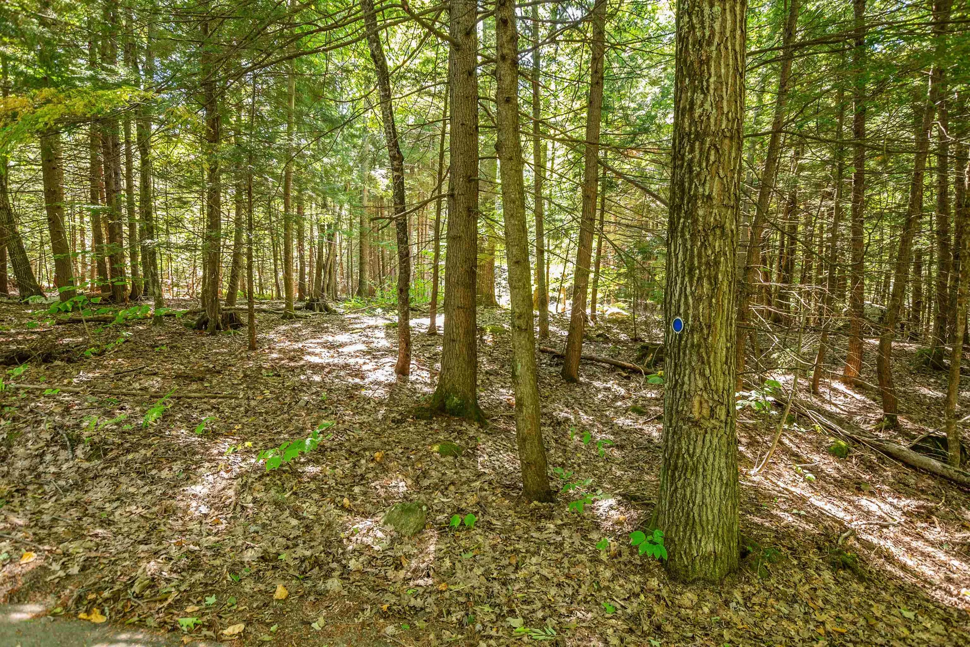 Route 103a Newbury NH 03255