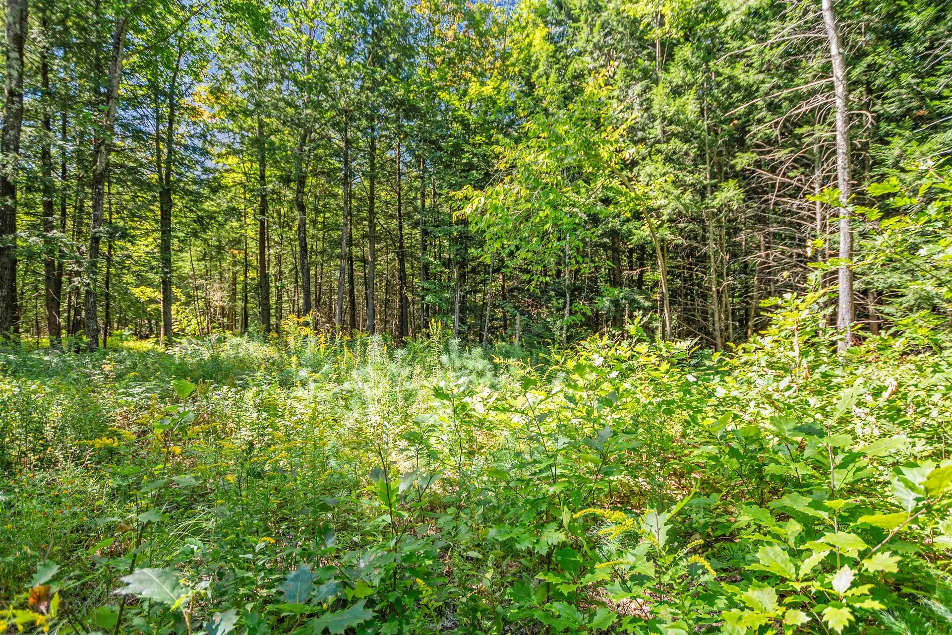 Route 103a Newbury NH 03255