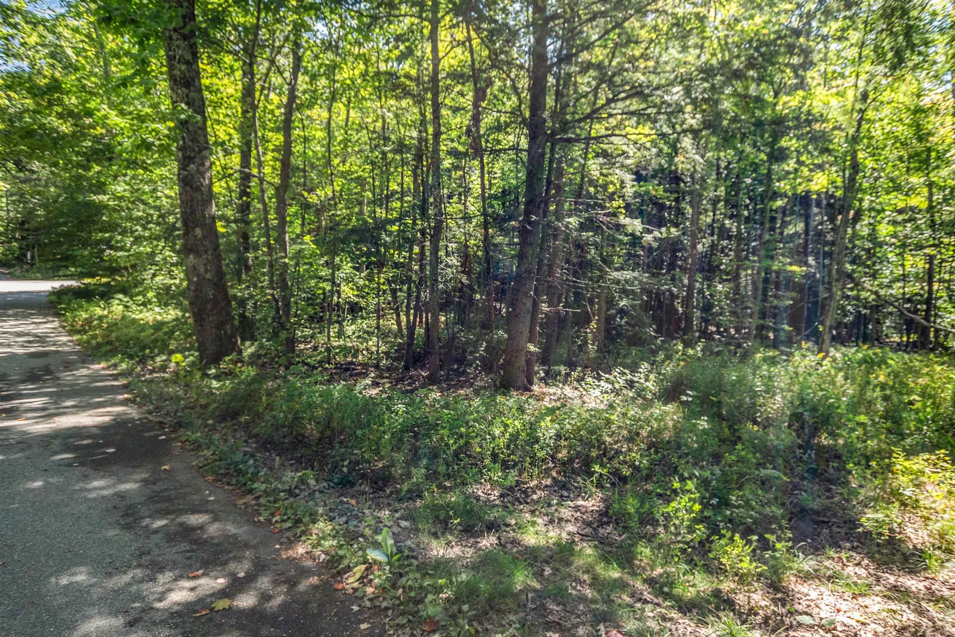 Route 103a Newbury NH 03255