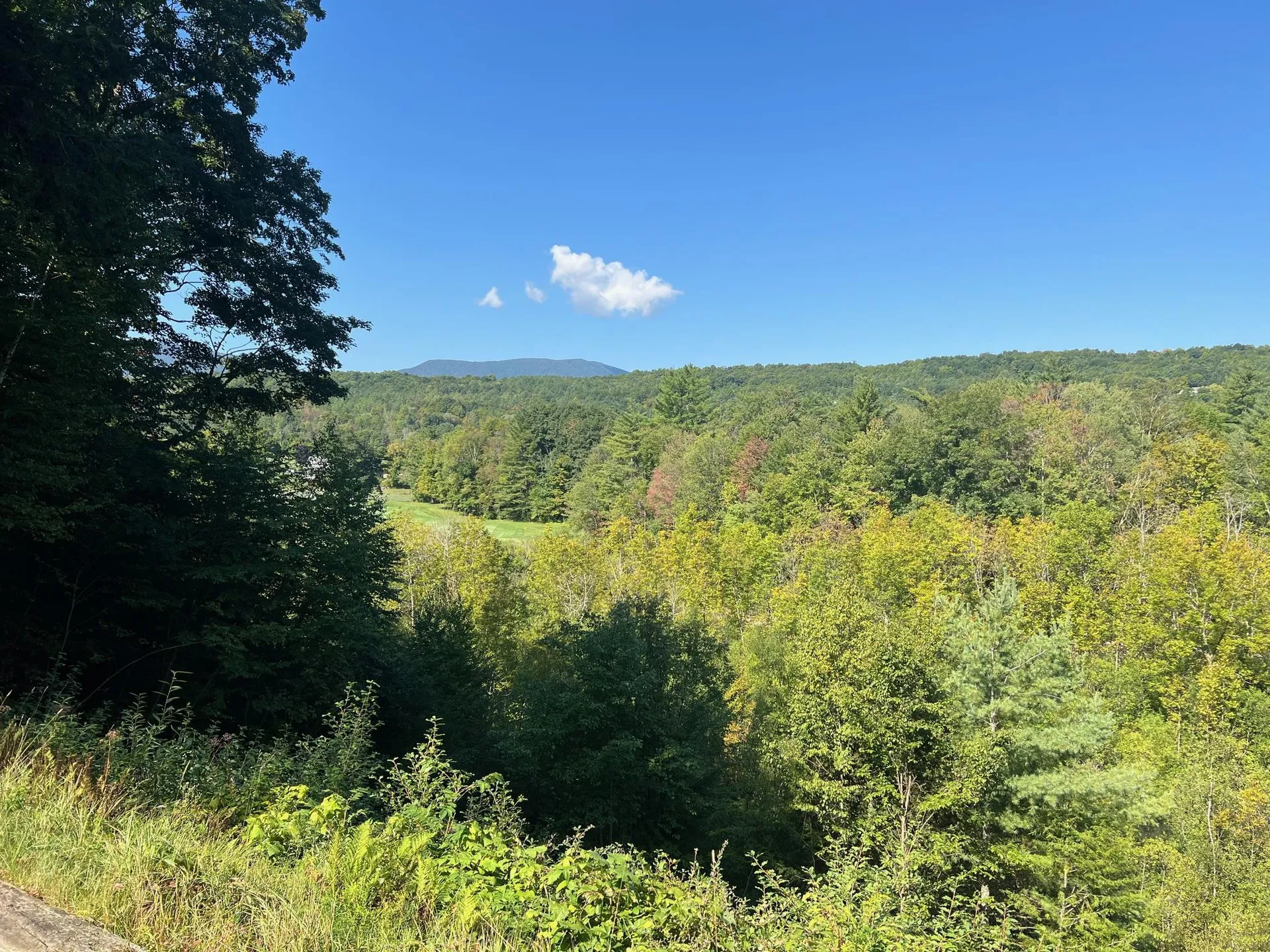 100 Back Nine Bluff Manchester VT 05254