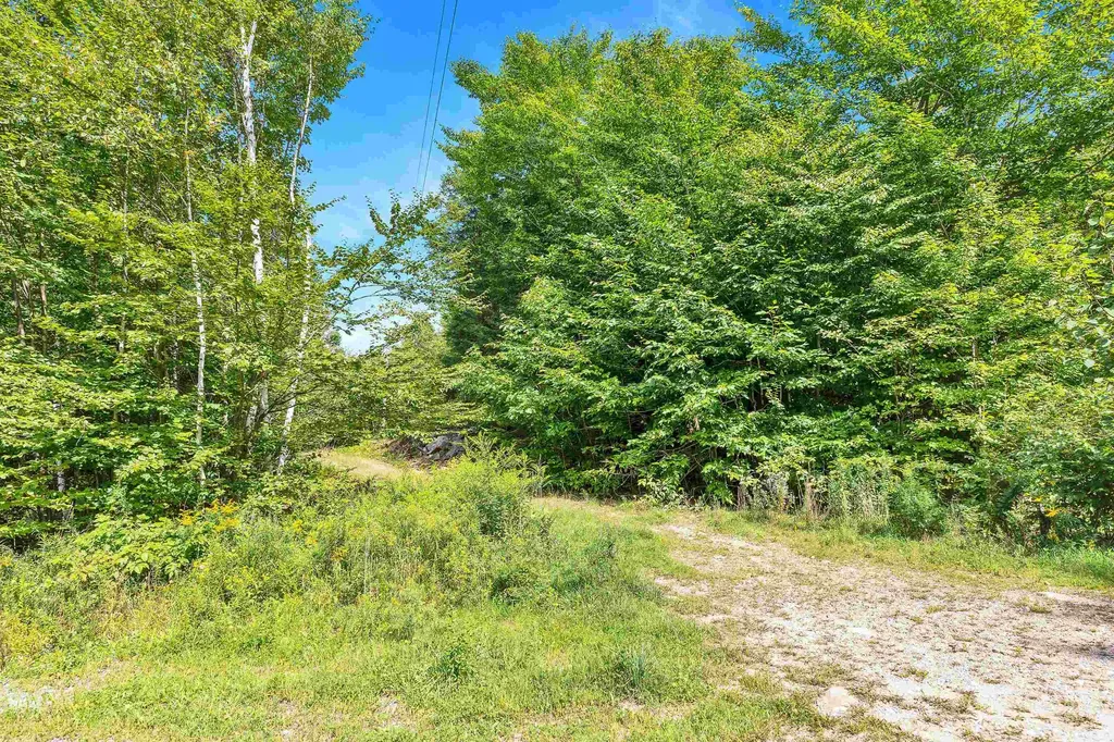 56 Abbey Lane Greenfield NH 03047