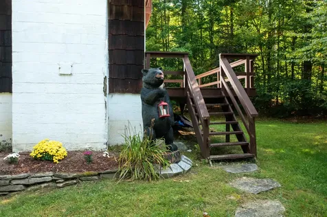 201 Pratt Bridge Road Jamaica VT 05343