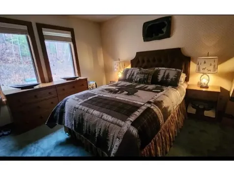 107 Blueberry Ledge Ridge Plymouth VT 05056