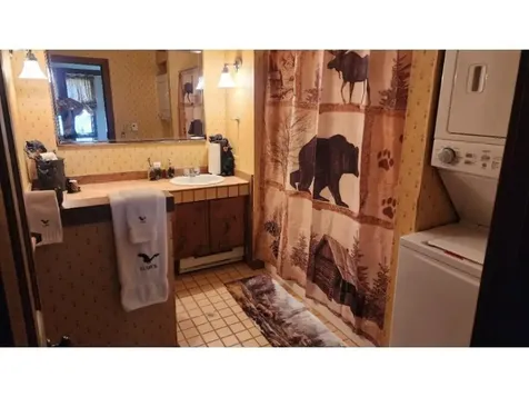 107 Blueberry Ledge Ridge Plymouth VT 05056