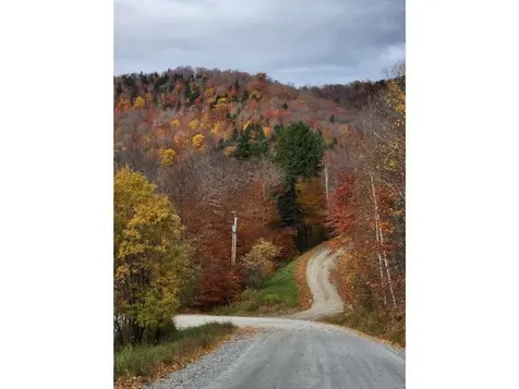 107 Blueberry Ledge Ridge Plymouth VT 05056