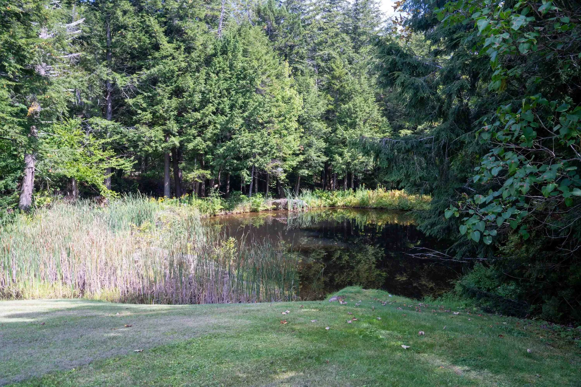 33 Forest Haunts Road Winhall VT 05340