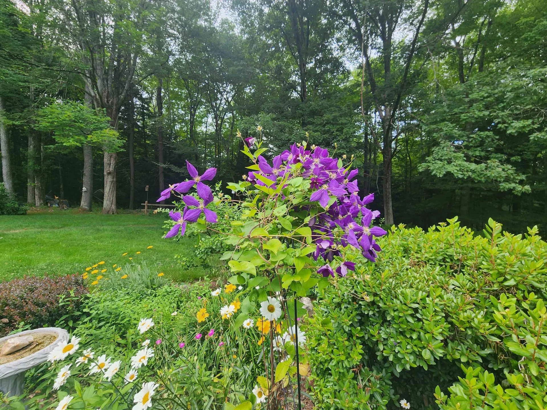 79 Breezy Hill Road Springfield VT 05156