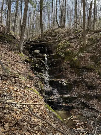 0000 Burke Hollow Road Burke VT 05819