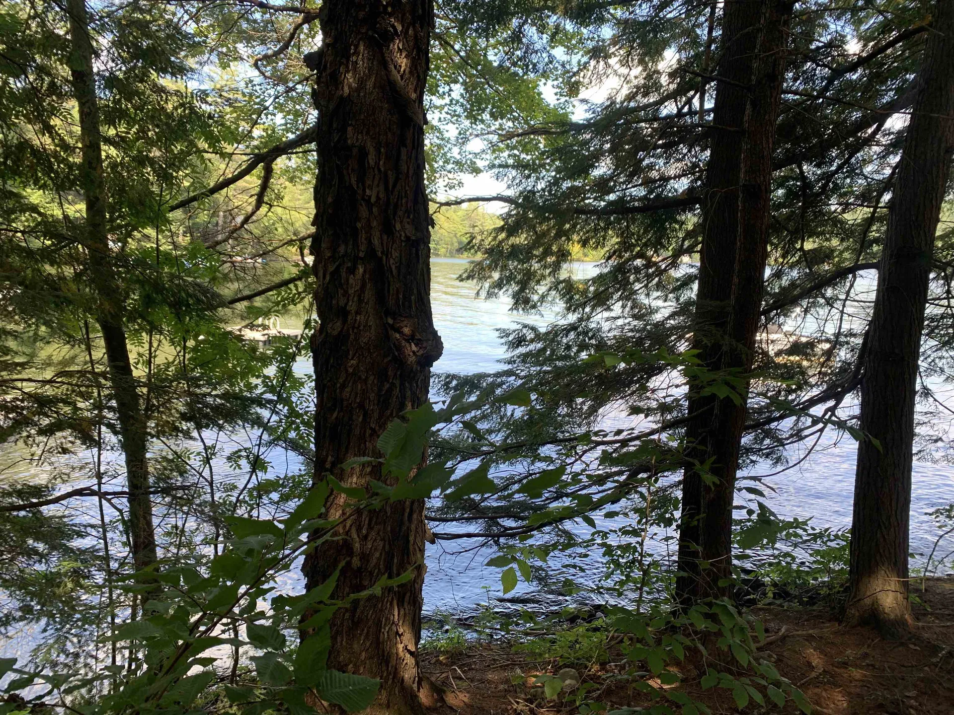 00 Monroe Point Ludlow VT 05149