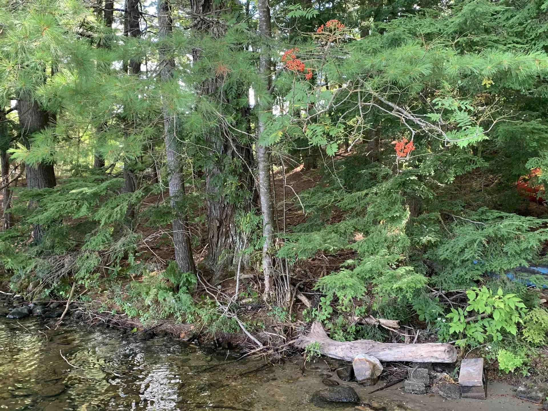 00 Monroe Point Ludlow VT 05149