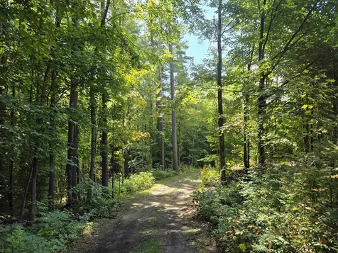 660 Sunrise Lane Arlington VT 05250