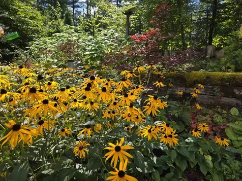 660 Sunrise Lane Arlington VT 05250