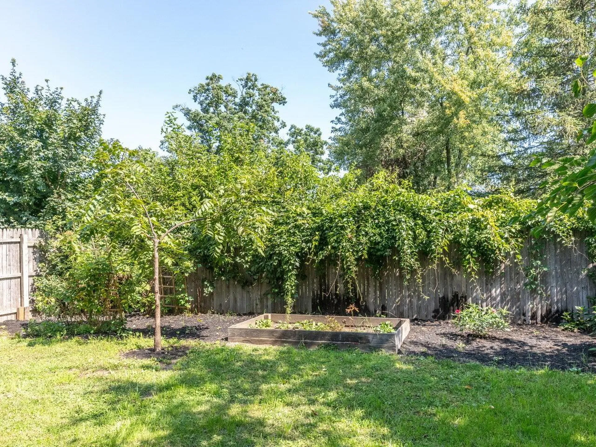 220 James Avenue Burlington VT 05408