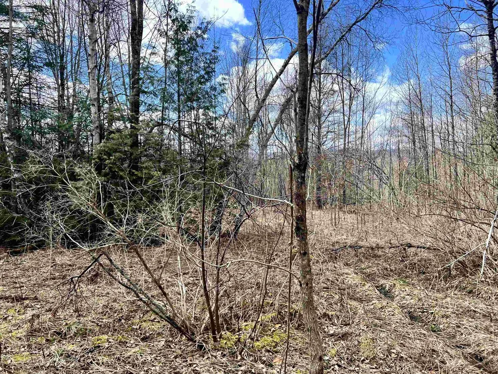 0 Parker Road Coventry VT 05825