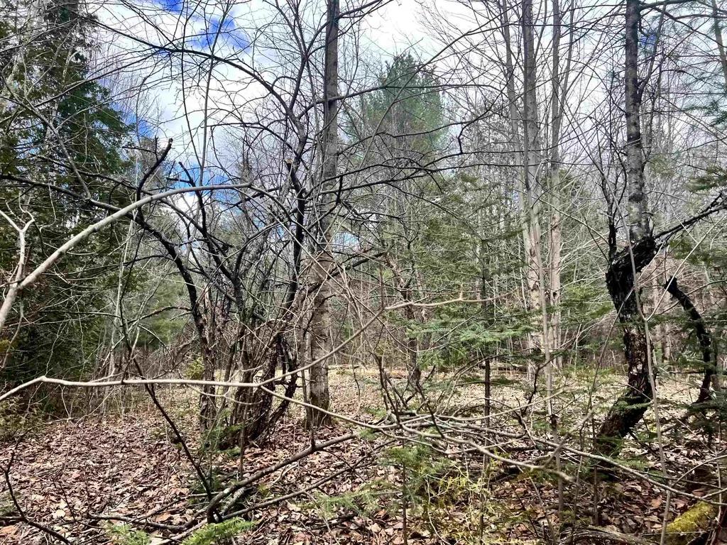 0 Parker Road Coventry VT 05825