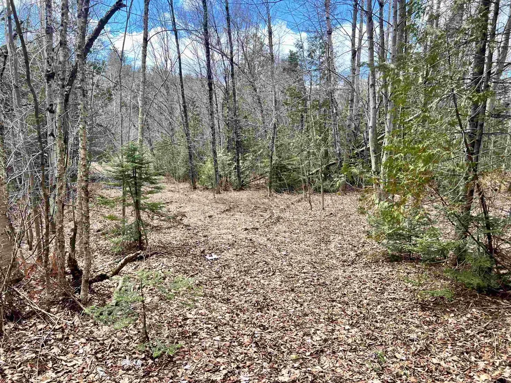 0 Parker Road Coventry VT 05825