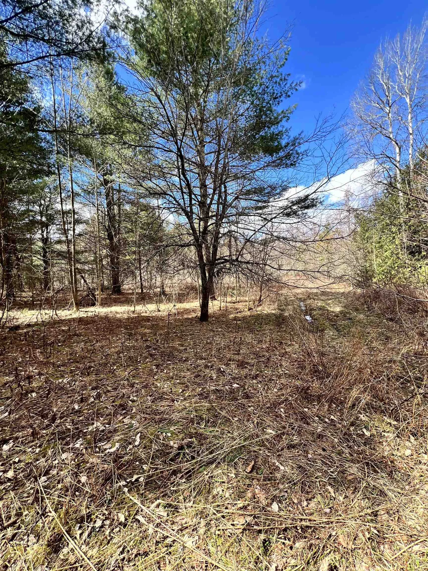 0 Parker Road Coventry VT 05825