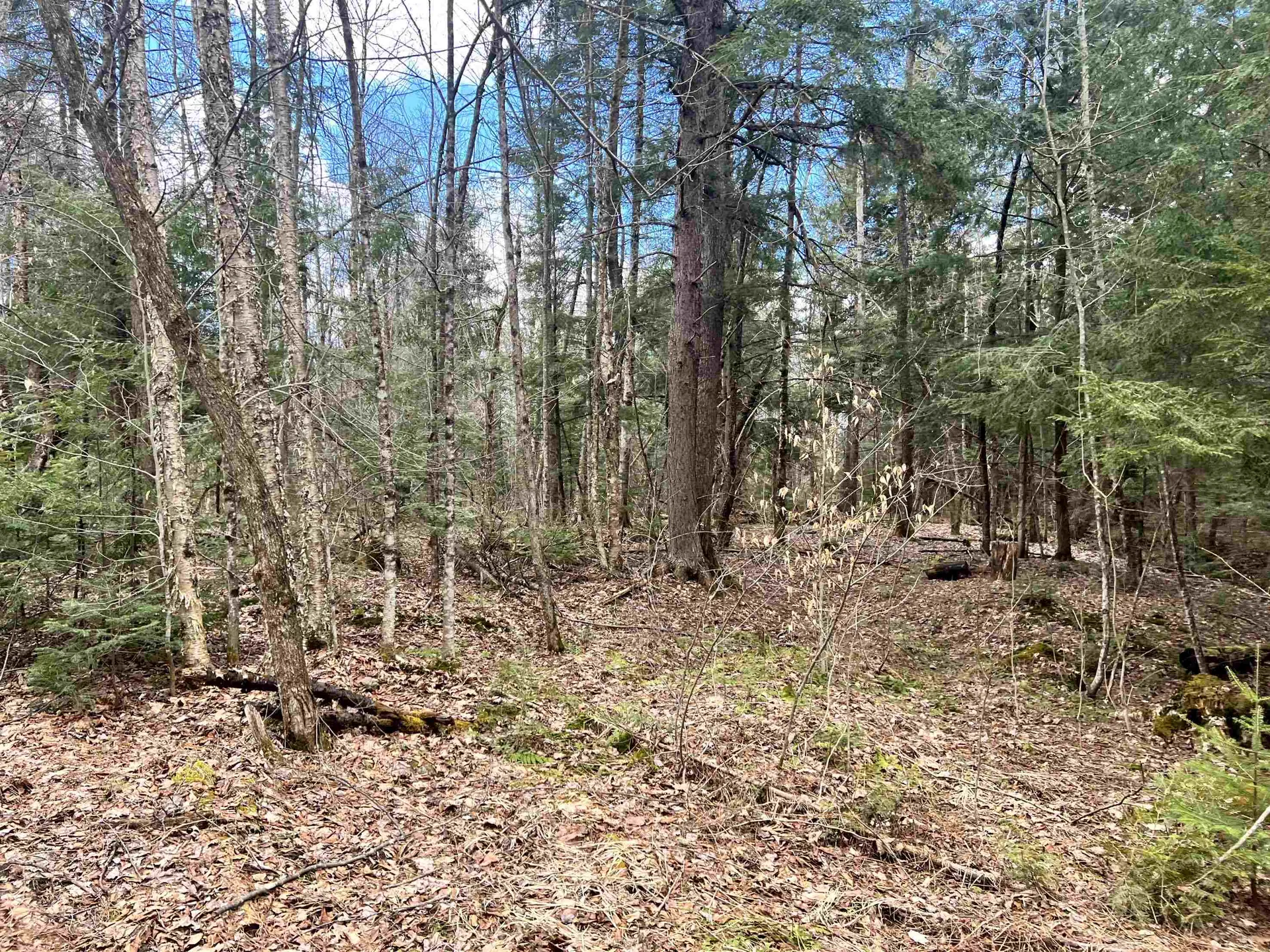 0 Parker Road Coventry VT 05825