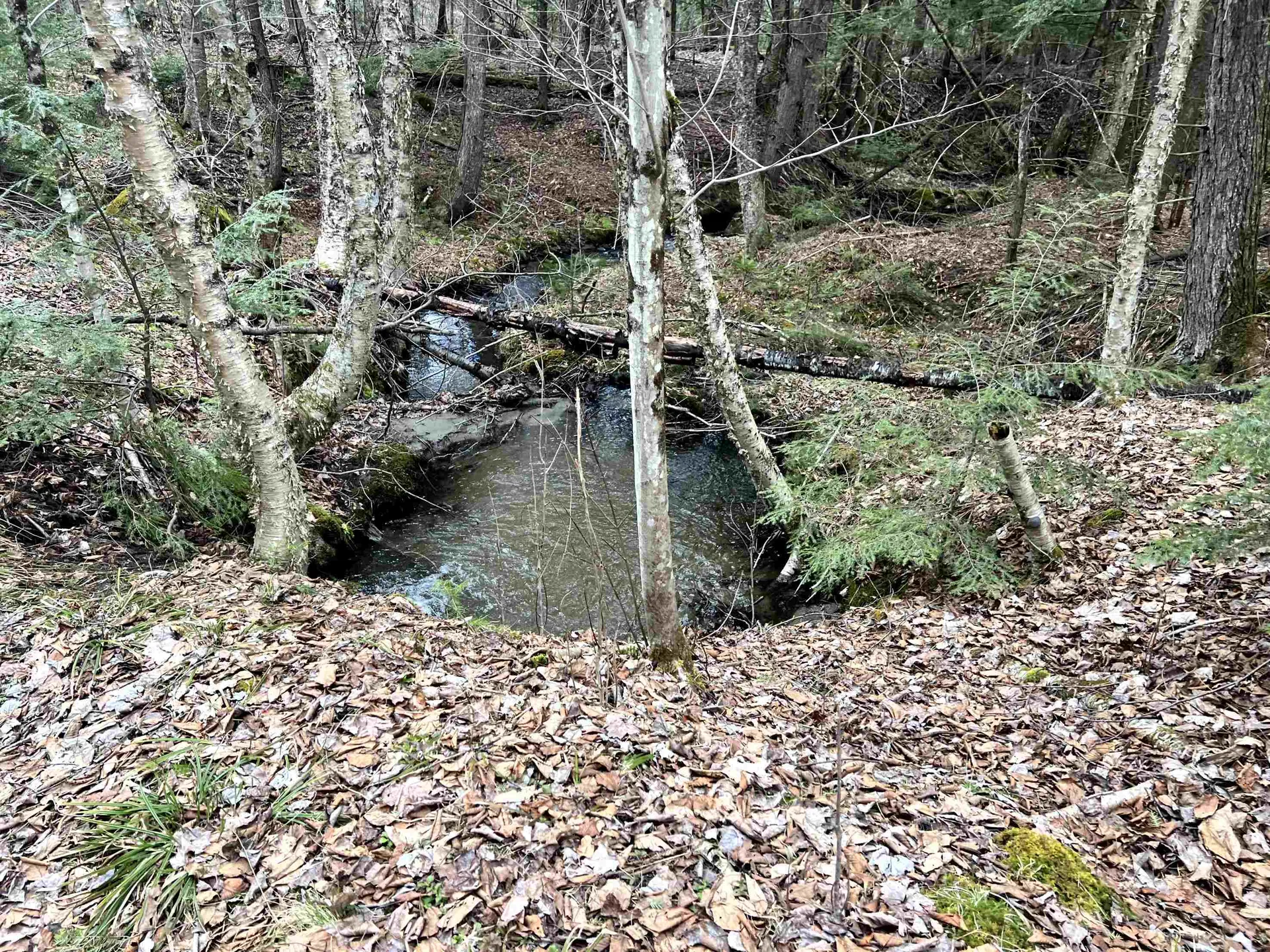 0 Parker Road Coventry VT 05825