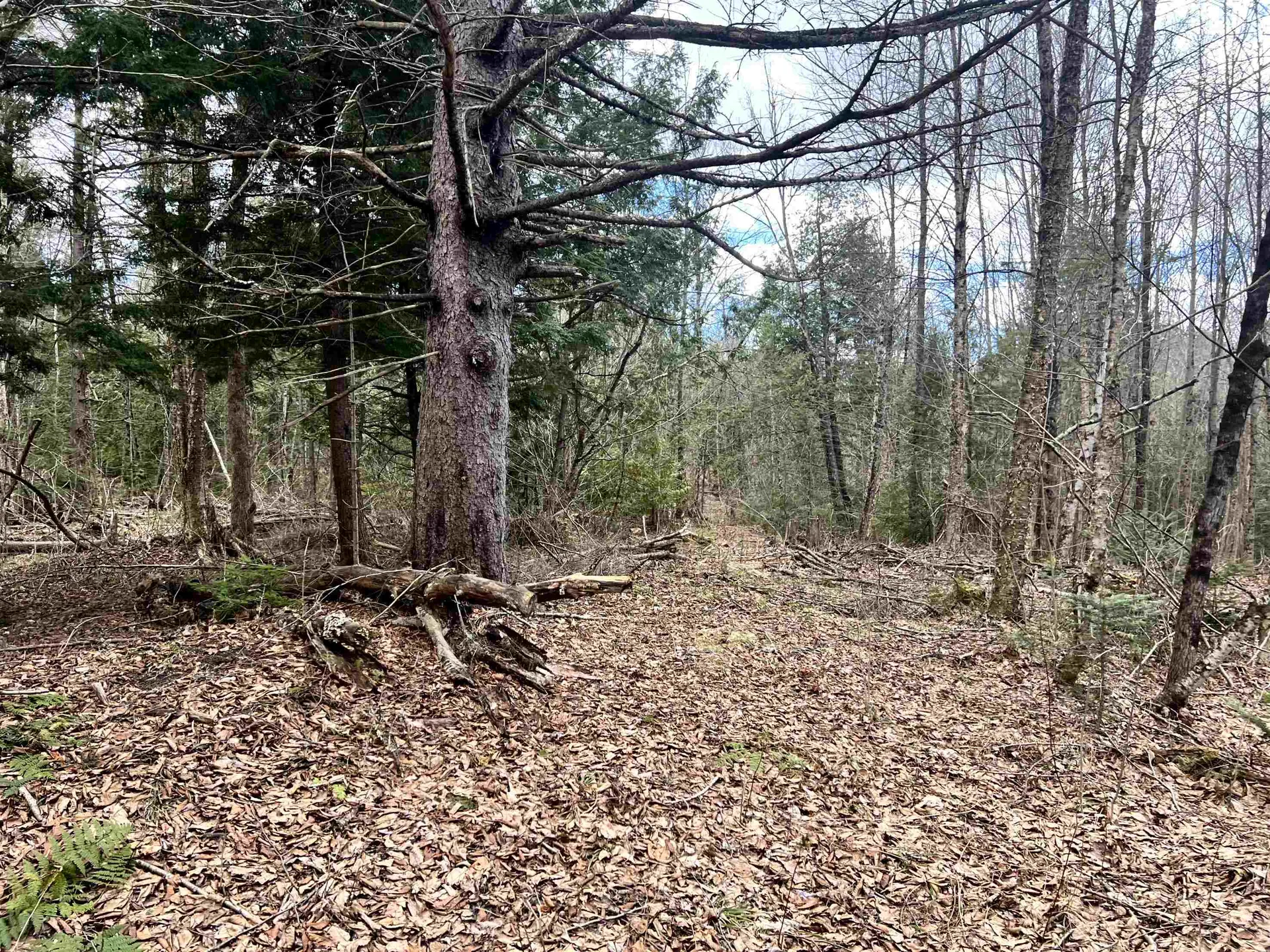 0 Parker Road Coventry VT 05825