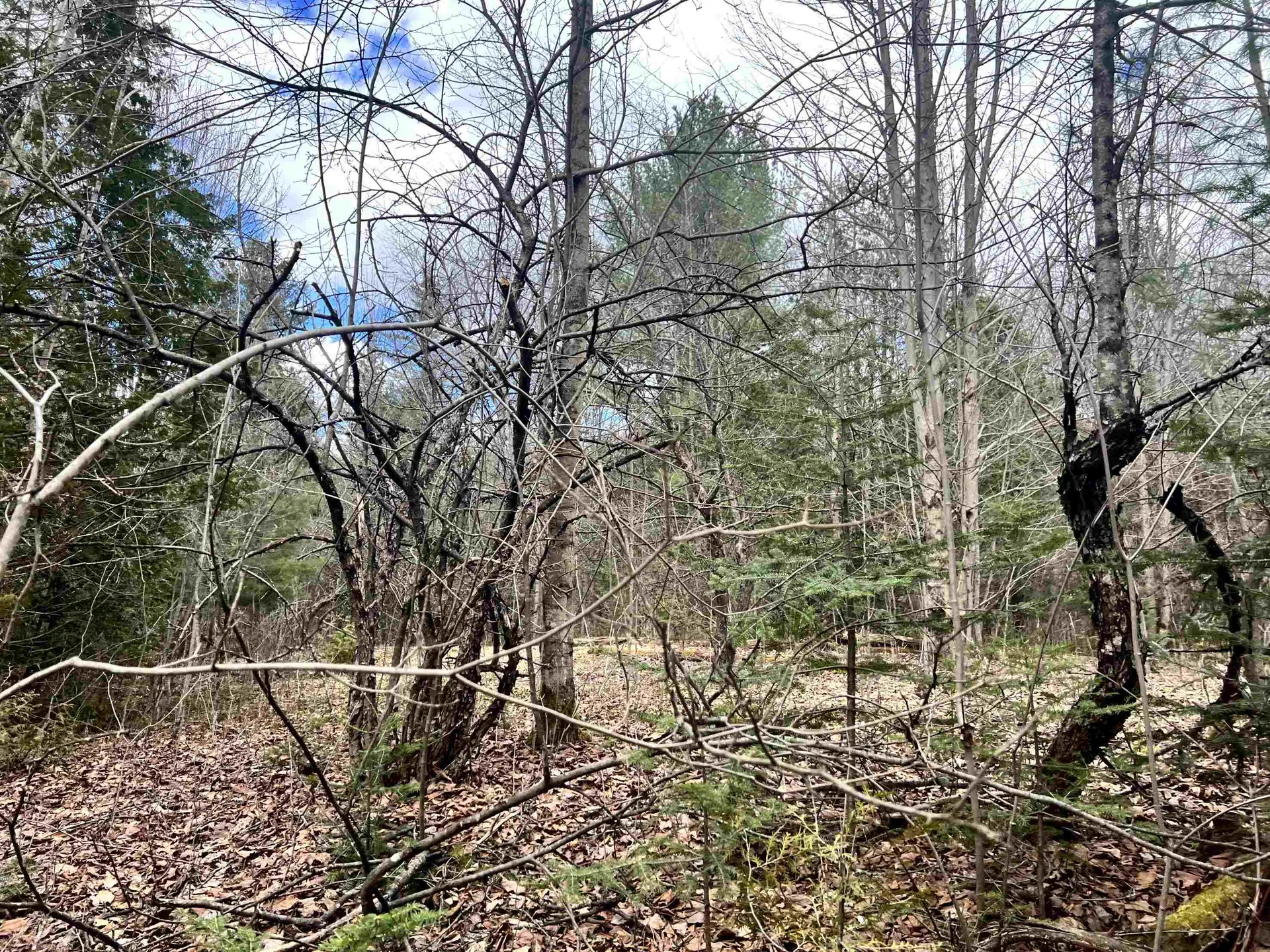 0 Parker Road Coventry VT 05825