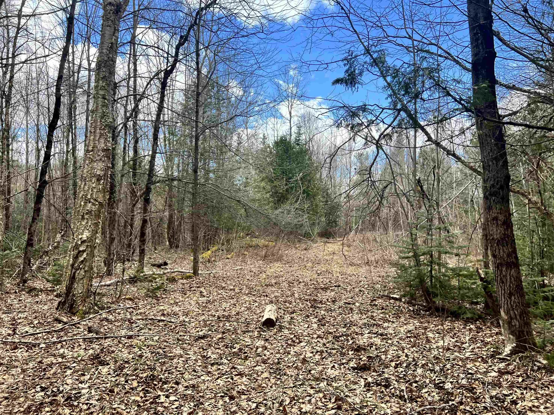 0 Parker Road Coventry VT 05825