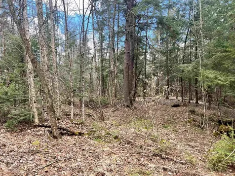 0 Parker Road Coventry VT 05825